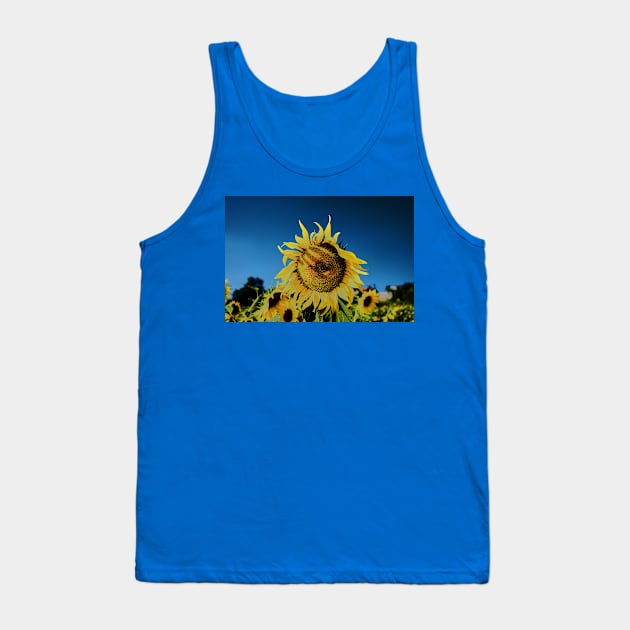 Sunflower in the sun Tank Top by mbangert